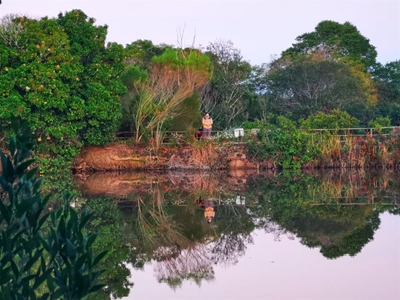 See botanical garden and birds of prey sanctuary for free