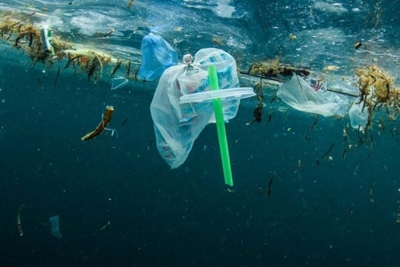 SA in talks to ditch plastic straws