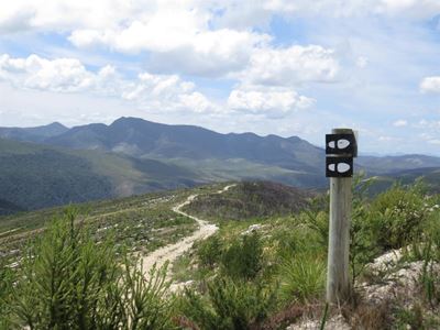 Calling 4X4s to Wilderness adventure