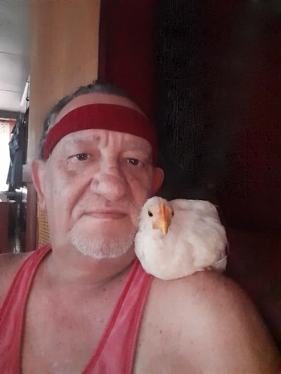 Toe's die lelike hennetjie 'n spoggerige haan
