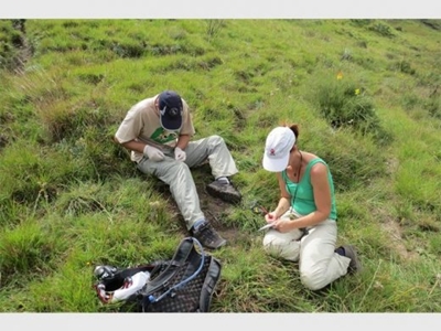 SA conservation biologist wins 2020 Whitley Award worth R900K