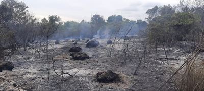 Fire at Langvlei Dunes extinguished