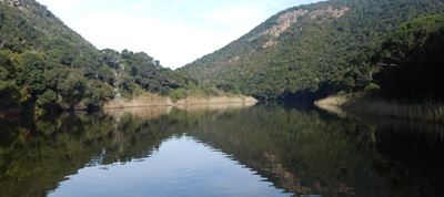 No panic about dead fish in Touw River