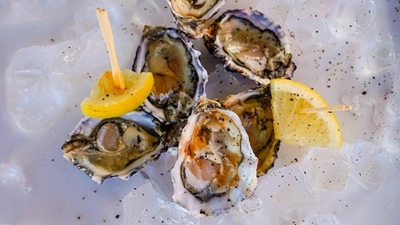 Oyster Festival a great winter break