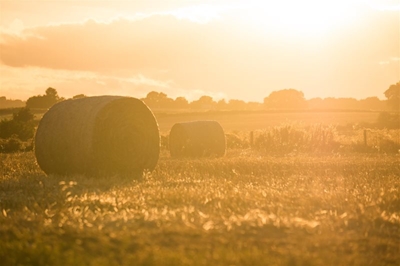 Industry voices opposition to new turn in land expropriation debate