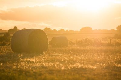 Industry voices opposition to new turn in land expropriation debate