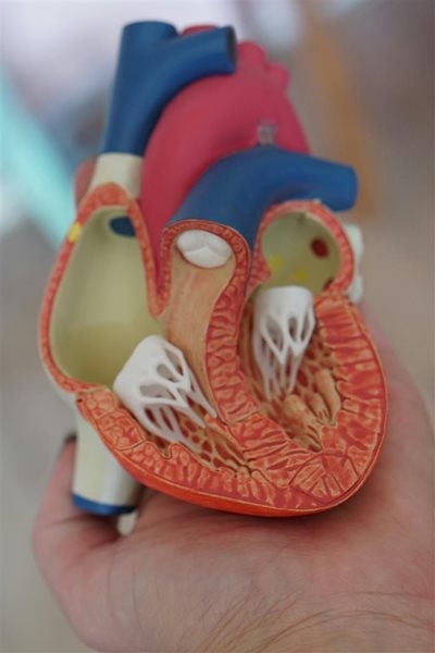 Build a legacy of heart-health for future generations 