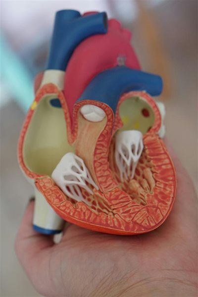 Build a legacy of heart-health for future generations 