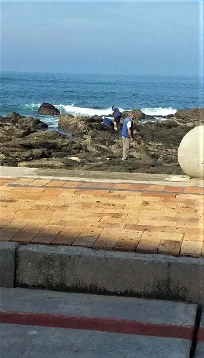 Lure of the waves
