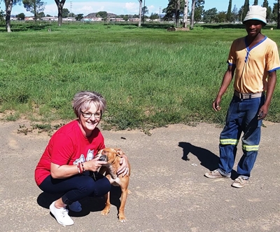Marietjie saves cats and dogs