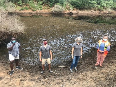 Beetles to the rescue in Kariba weed management