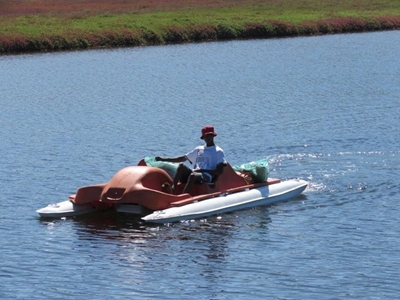 Great Brak Conservancy takes action, cleans up river banks