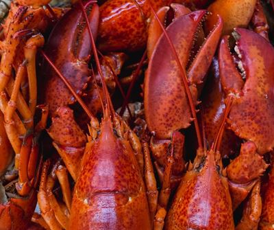 Creecy extends West Coast Rock lobster fishing season 