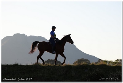 Scenic Moolmanshoek hosts endurance ride