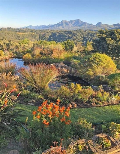 Country gardening with a twist in Hoekwil