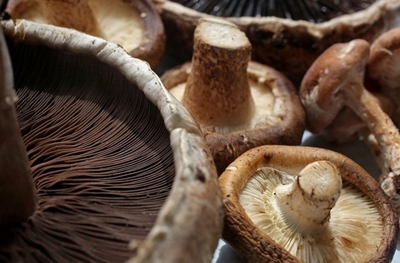Delicious, versatile mushrooms