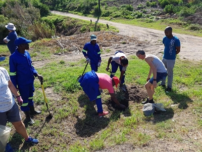 Trees to boost Brenton wetlands