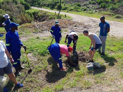 Trees to boost Brenton wetlands