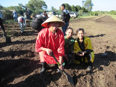 More than a 1 000 trees planted