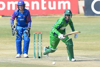 Cobras roep Brendon Louw