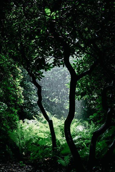 For fun and for nature