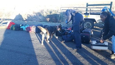 14 arrested during joint operation