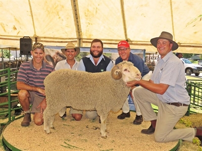 27th Ram Sale averages R9 438