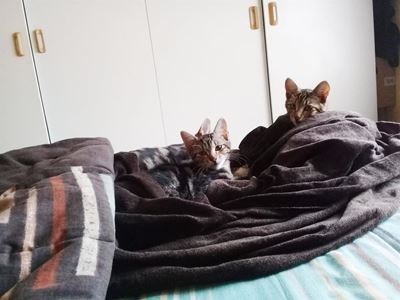 Help us find our home