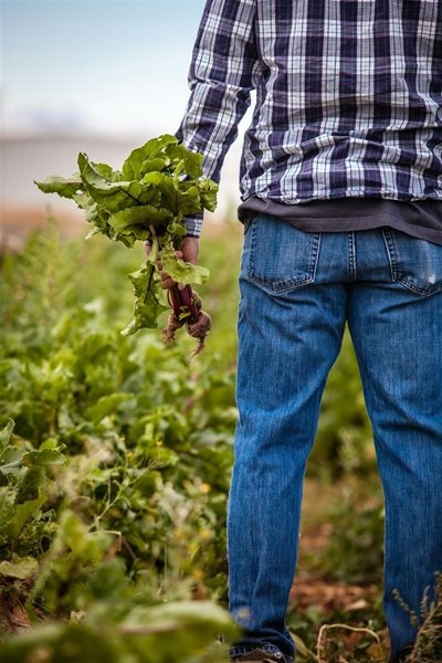 Farmers slam agricultural master plan signed behind their backs