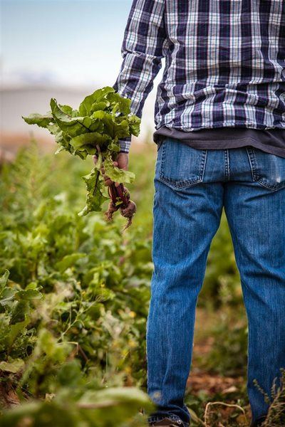 Farmers slam agricultural master plan signed behind their backs