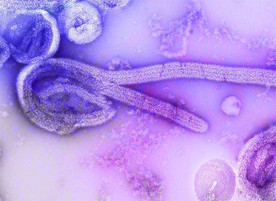 Municipality responds to talk of typhoid fever