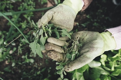 5 outdoor hacks to help you prep for summer