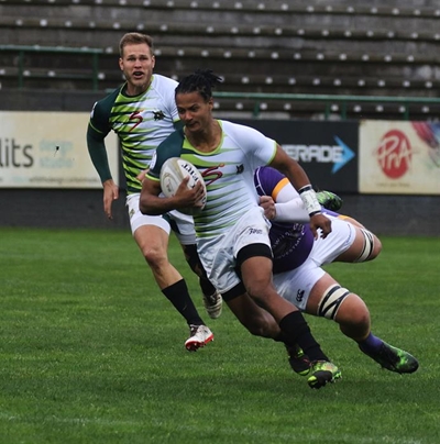 Die Arende knak die Griffons in halfeindronde