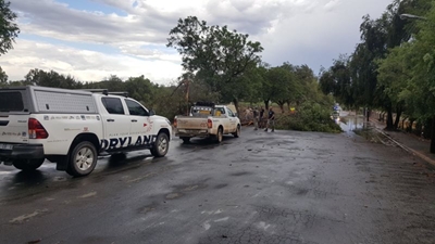 Sterk wind waai bome om