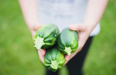 Summer Garden Market and Seed Swap returns to Hoekwil