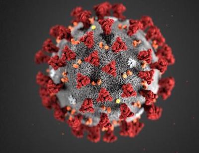 Coronavirus: port ready