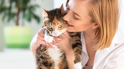Why adopting an adult cat might be a better fit for you than a kitten