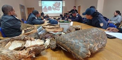 Nipping the illegal plant trade in the bud
