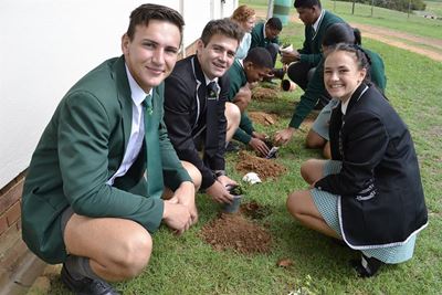 Hoërskool Langenhoven plant spekbome