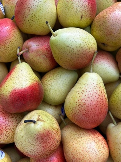 Early start sets the tone for a promising apple and pear season