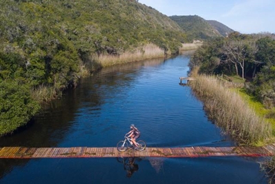 New trails abound for Tour de Plett