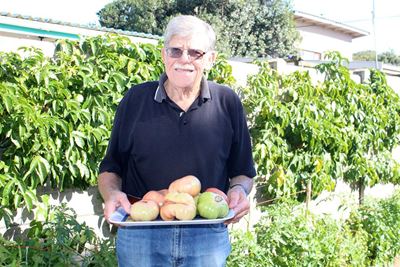 'n Plan is 'n boerdery
