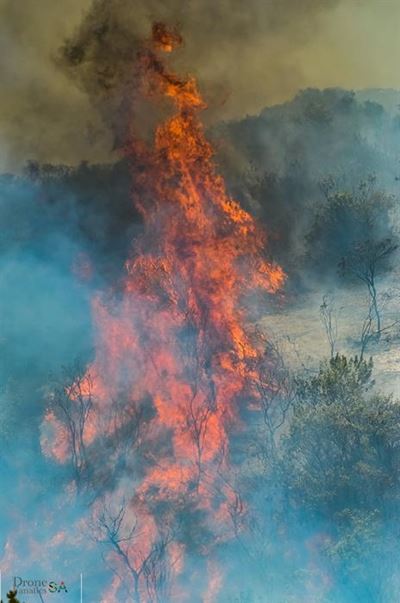Veld fires near N2