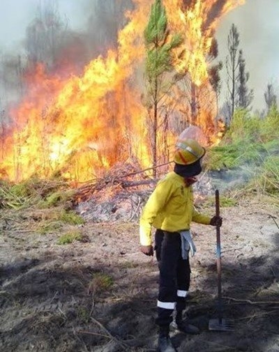 More wildfires, but smaller footprint 
