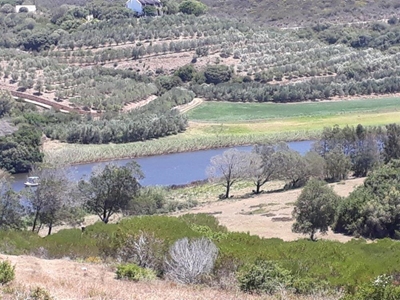Beautiful farm near Stilbaai on auction