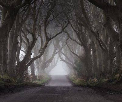 Weather: Drive safely… Morning fog to blanket large parts of SA 