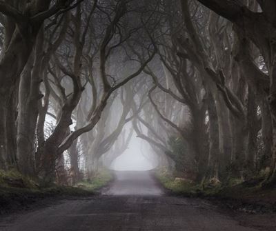 Weather: Drive safely… Morning fog to blanket large parts of SA 