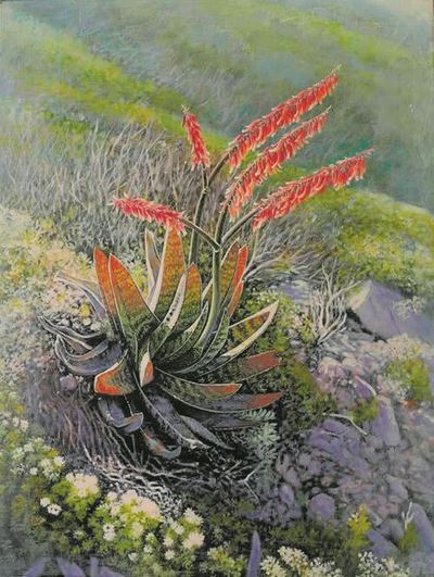 'n Fees van plante, kuns en kultuur in Calitzdorp