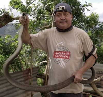 Massive black mamba (more than 3m) bagged on KZN South Coast