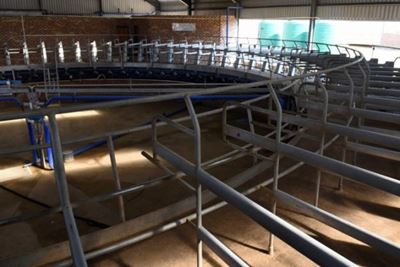 Vrede Dairy Project cost R1bn when R30m would have sufficed, Zondo commission hears